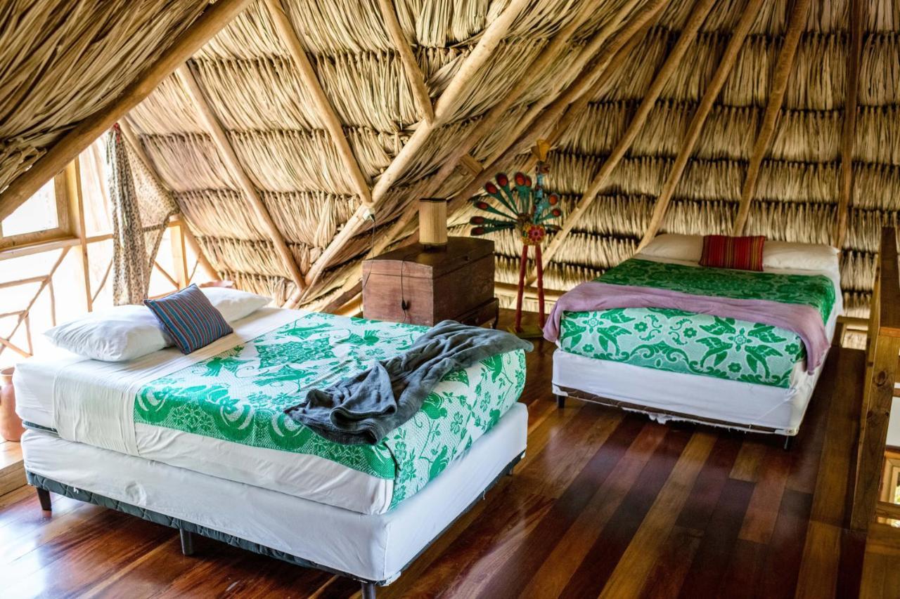 Pine Ridge Lodge Сан-Игнасио Экстерьер фото