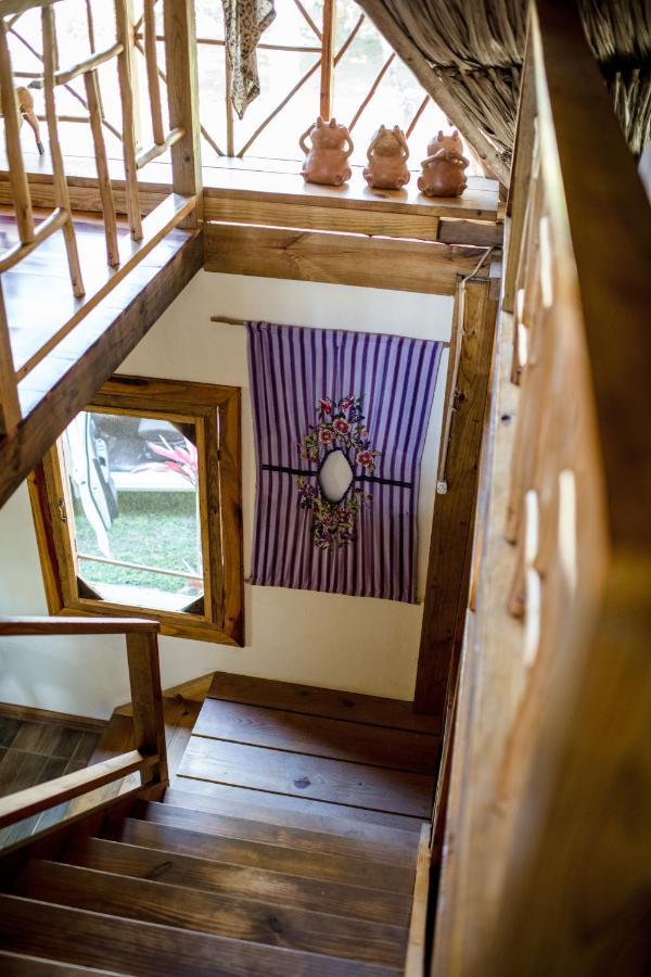 Pine Ridge Lodge Сан-Игнасио Экстерьер фото